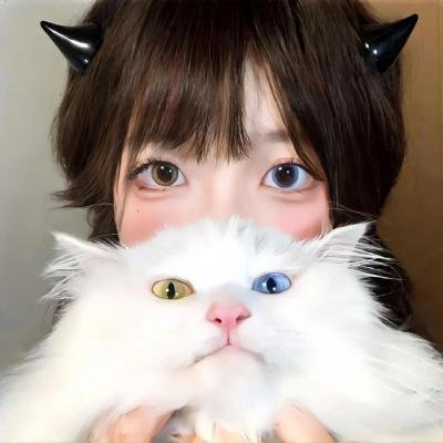 猎魔人:老鼠盗贼团